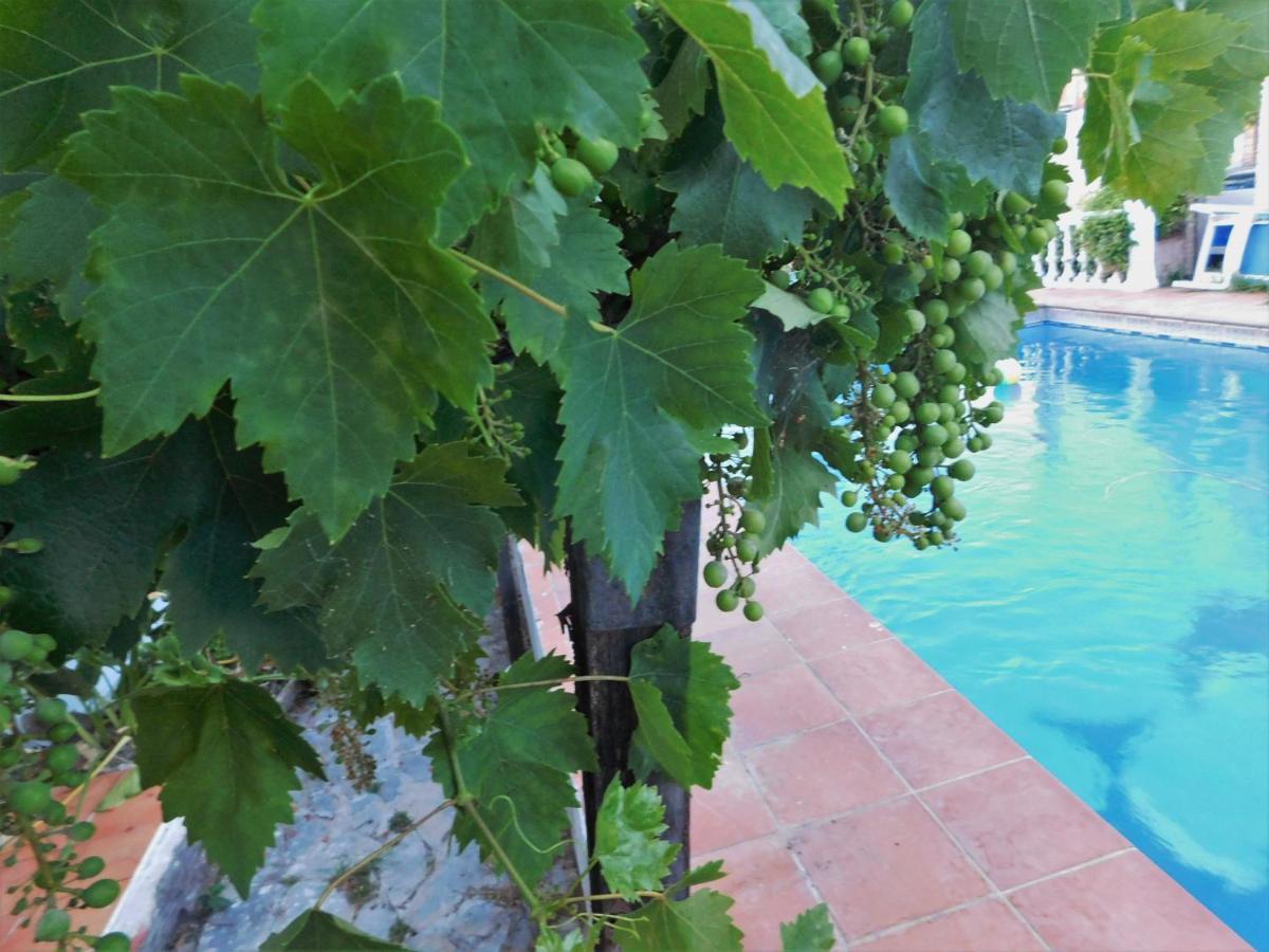 Bungalow Marbella Ngoại thất bức ảnh